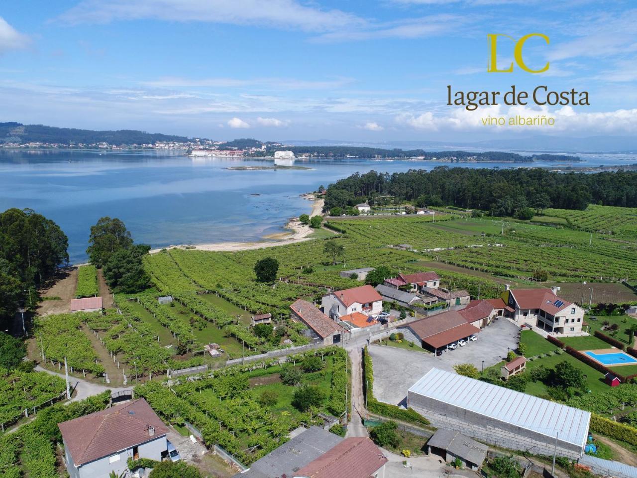Castrelo  Enoturismo Lagar De Costaゲストハウス エクステリア 写真